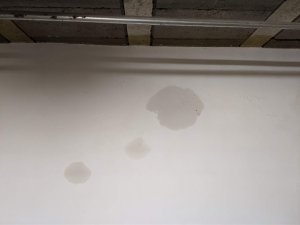 IMG_20210714_232654.jpg