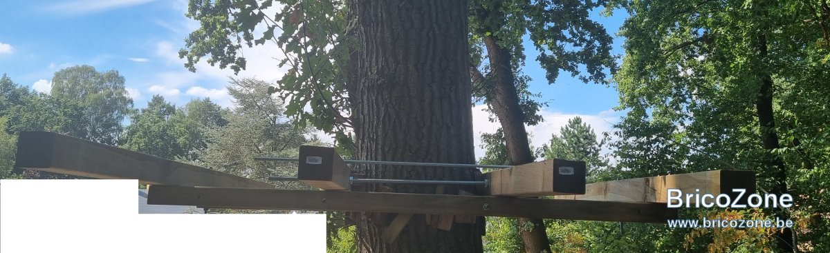 arbre1.jpg
