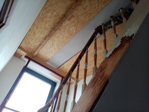 IMG_20220920_141149.jpg