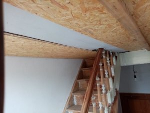 IMG_20220920_141137.jpg