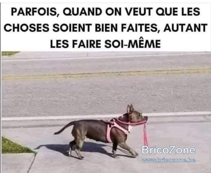 089F50F5-B445-4EF6-ADBE-22B711AB5747.jpeg