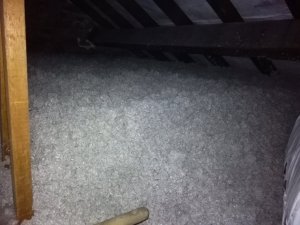 IMG_20160506_104632.jpg