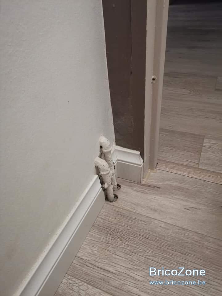 FB_IMG_1665655475482.jpg