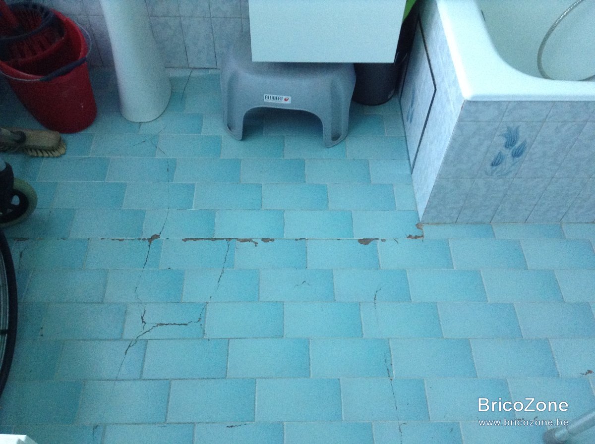 SdB1°Carrelage.JPG