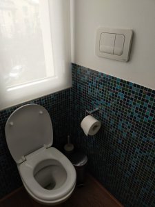 IMG20221024090154.jpg