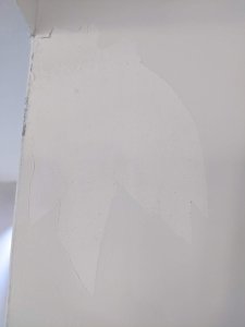 PXL_20220810_165414312.jpg