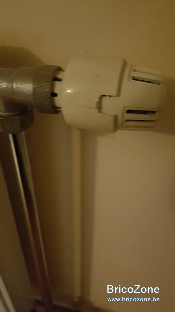 20221112_002530.jpg