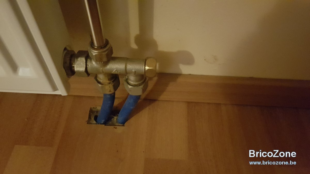 20221112_002536.jpg