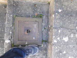 20221113_121158.jpg