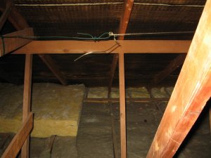 IMG_2011 [1600x1200].JPG