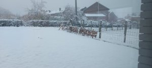 20221205_105234.jpg
