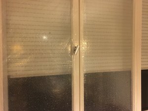 D287A4C2-2608-44EF-8AD4-7A8D09DD5FAF.jpeg