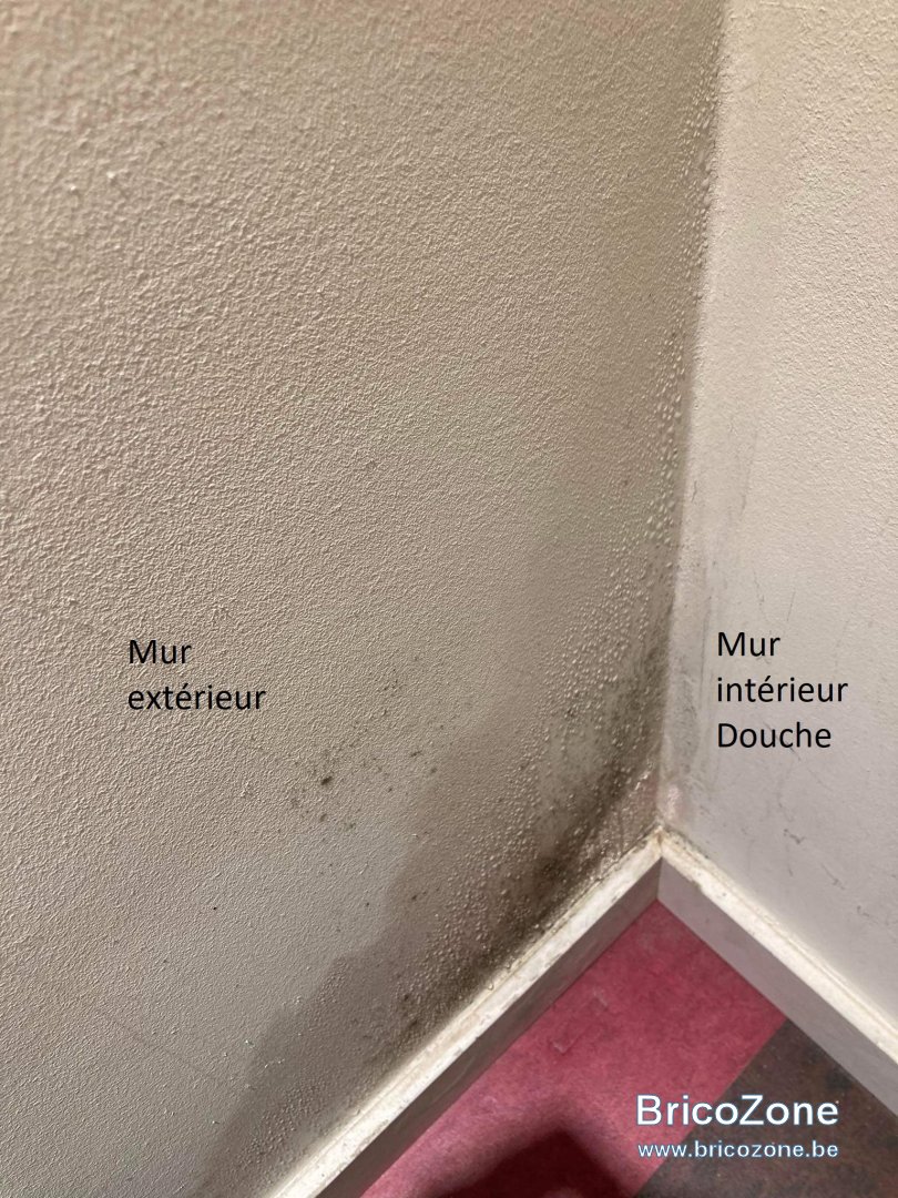 received_573566144609202.jpeg