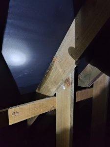 1671745004418.jpg