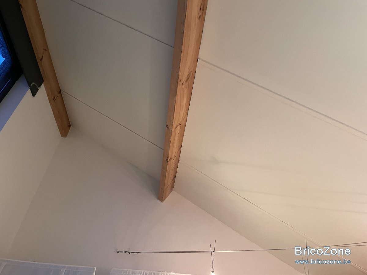 B66855F6-6F5D-43AA-96EC-4A8B458E9550.jpeg