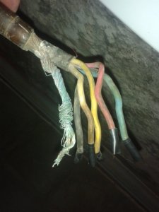 20160509_194928.jpg