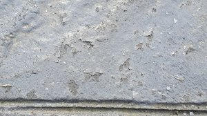 20210220_161854.jpg