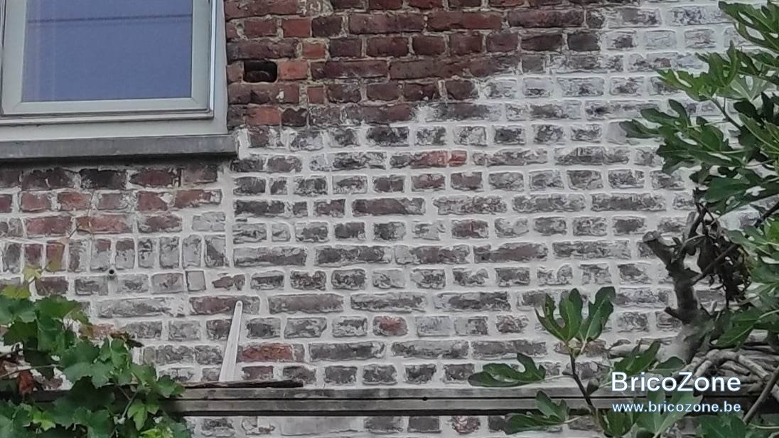 327020645_6219225301435300_8053962403994590088_n.jpg