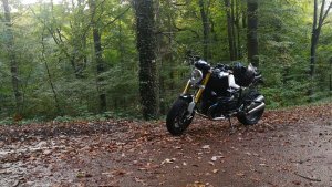 IMG_20181012_173756.jpg