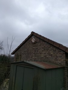 IMG20230210171423.jpg
