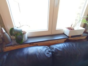 IMG_20230226_120643.jpg