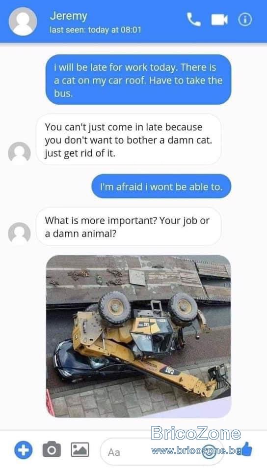 BA7E0055-FB9B-4F24-8368-FF685133FE8C.jpeg