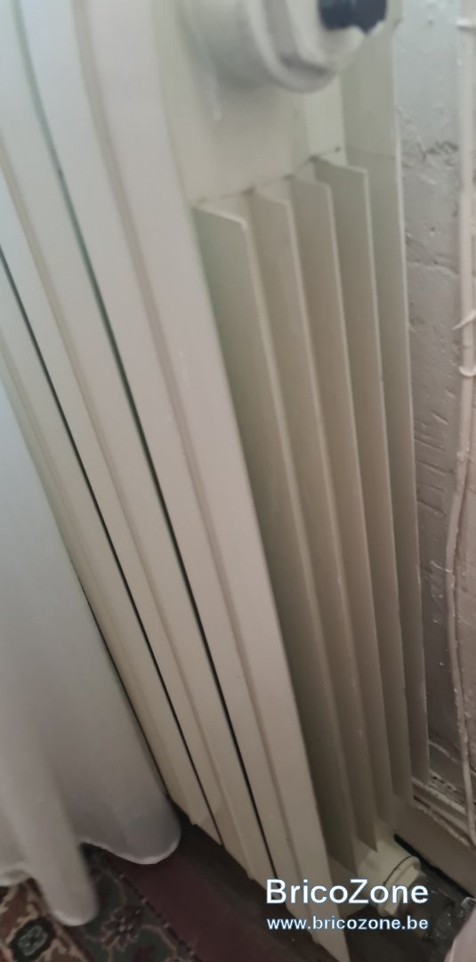 20230303_180752.jpg