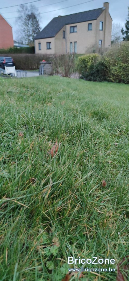 upload_2023-3-11_12-42-30.jpeg