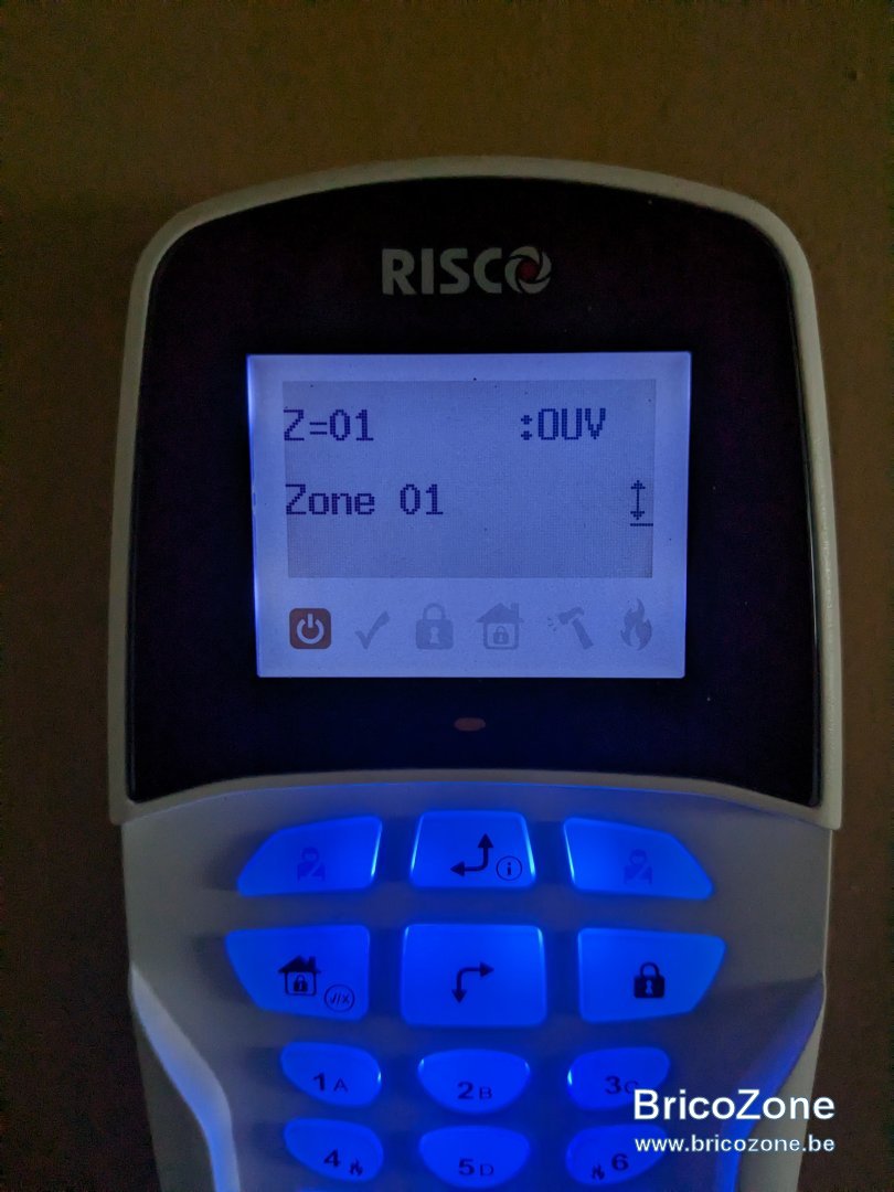 PXL_20230312_130023275.jpg