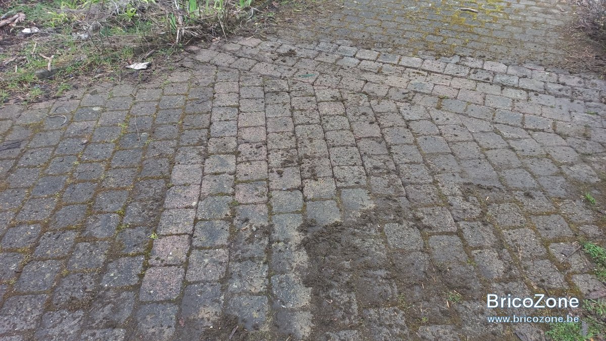 IMG-20230319-WA0011.jpeg