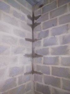 received_557434416527820.jpeg