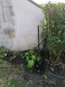 IMG_20230409_181500.jpg
