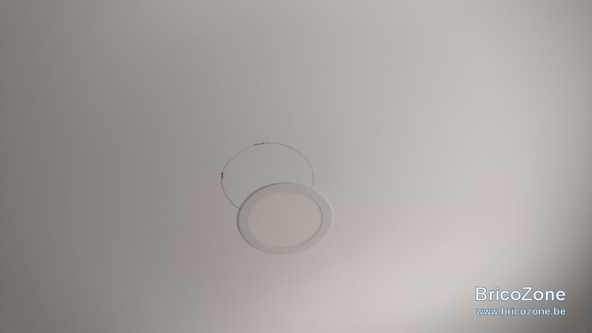 IMG_20230412_110529.jpg