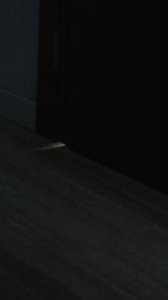 IMG_20230412_095629.jpg