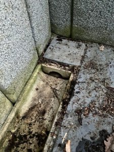 thumbnail_IMG_1009.jpg