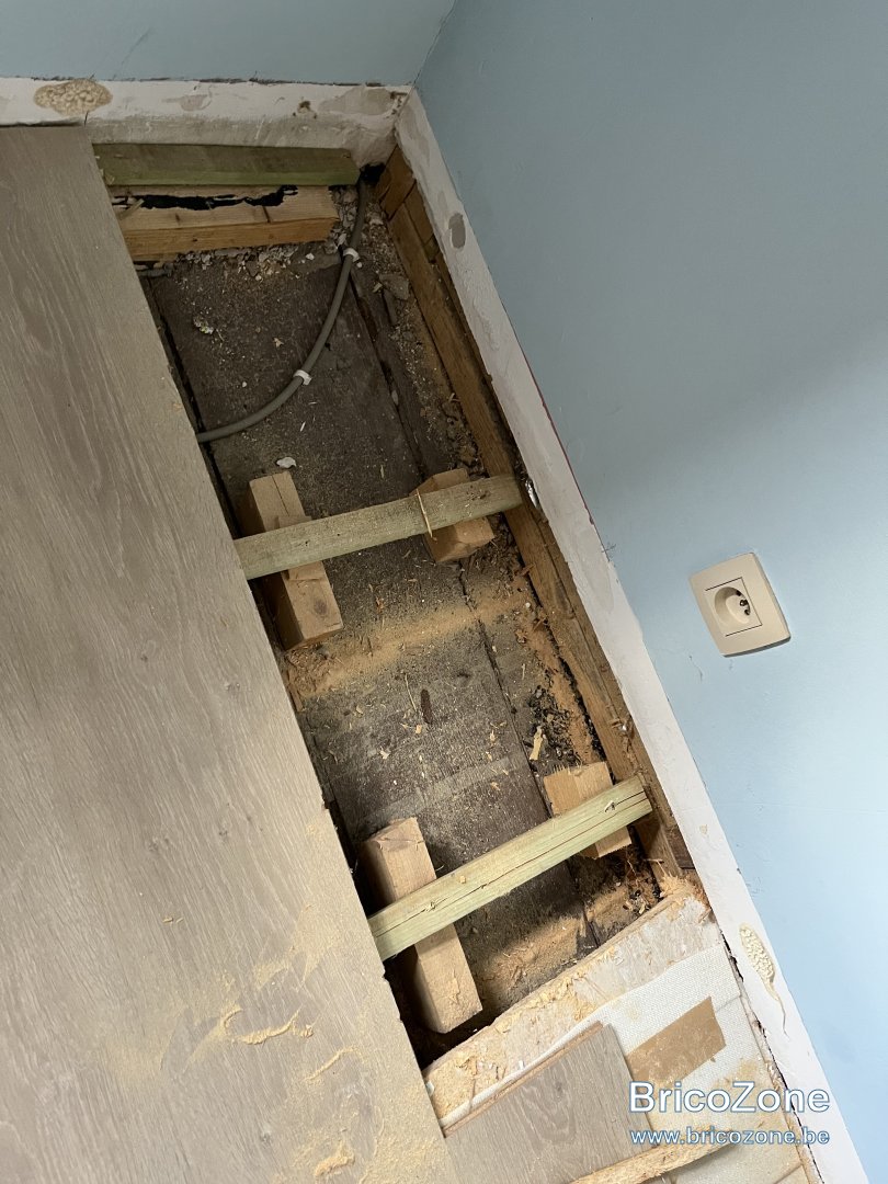 Invasion de rats dans le faux plafond, combles, placo BricoZone — free download
