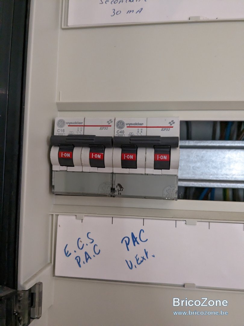 PXL_20230505_100349538.jpg