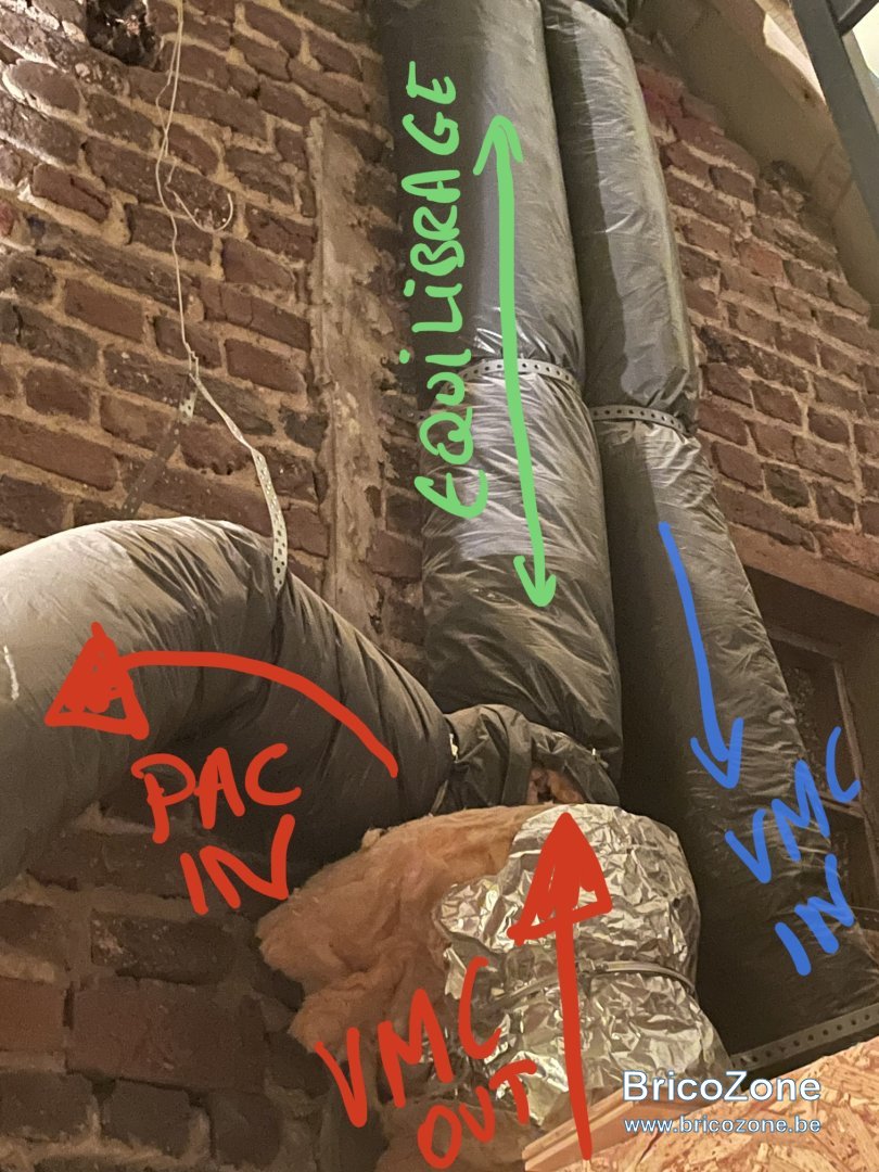 IMG_5304.jpeg
