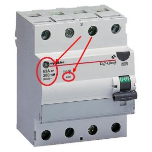 6531059.jpg
