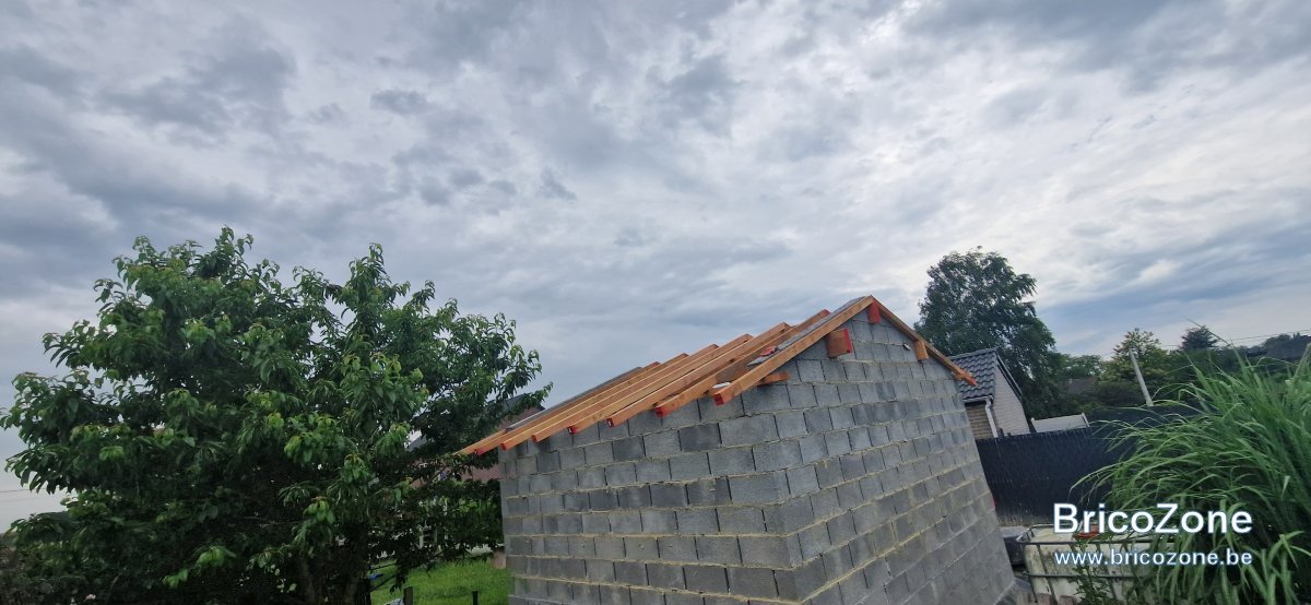 20230618_144255.jpg