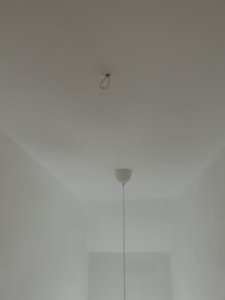 IMG_6881.jpeg