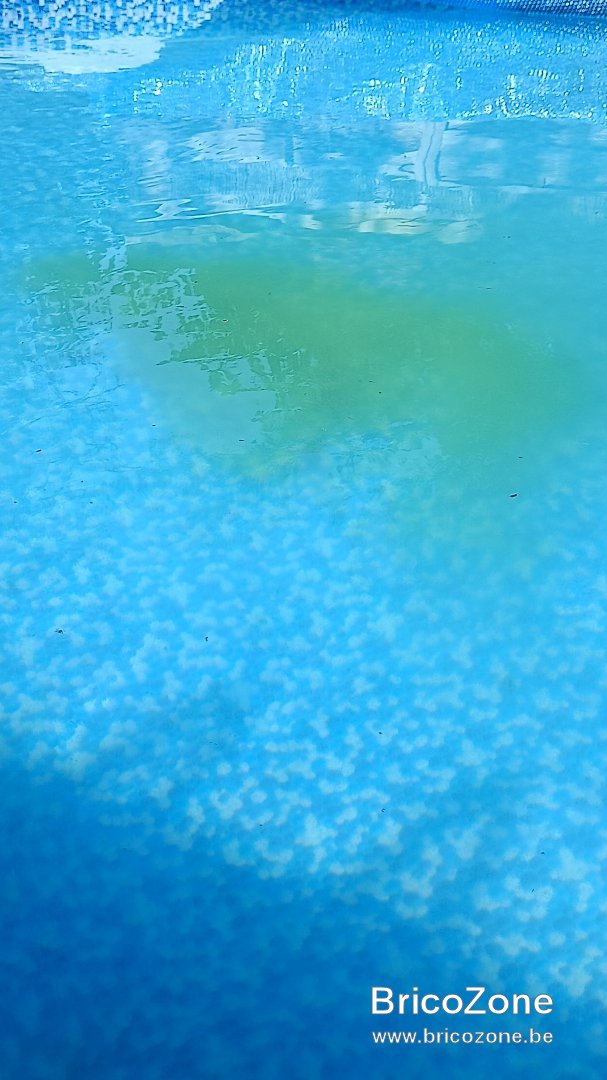 IMG20230625172044.jpg