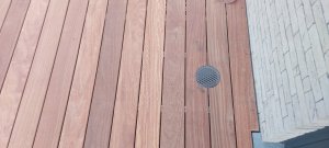 20230706_180652.jpg