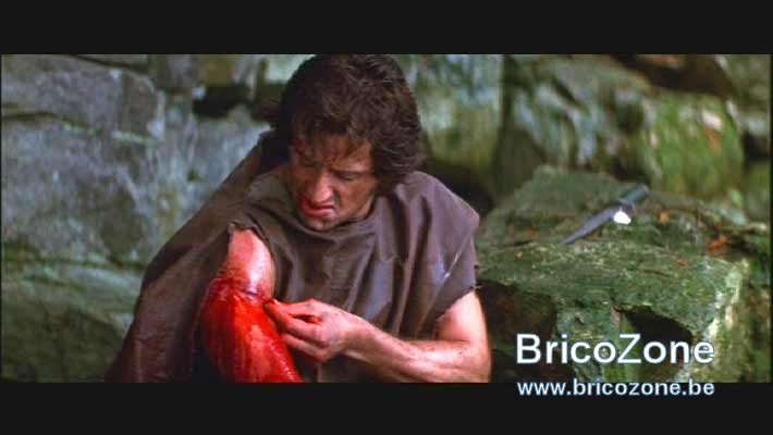 17666-rambo.jpg