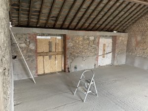 IMG_7595.jpeg