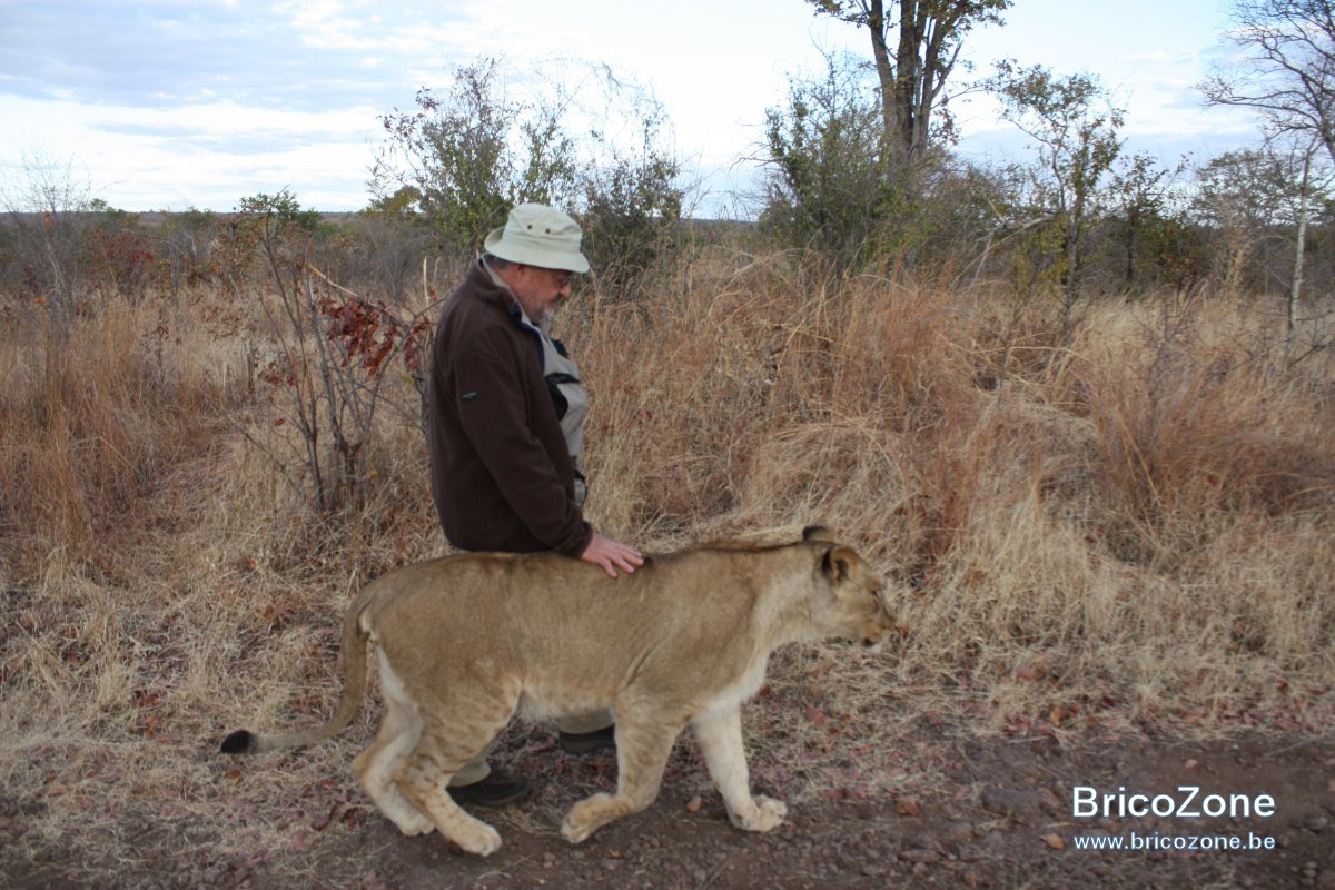 Zimbabwe201307-01 1426.jpg