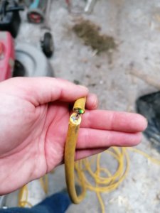 IMG_20230801_192258.jpg