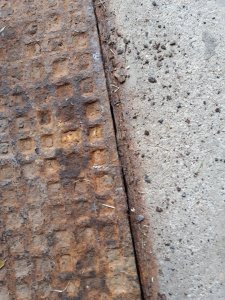 20230802_083829.jpg