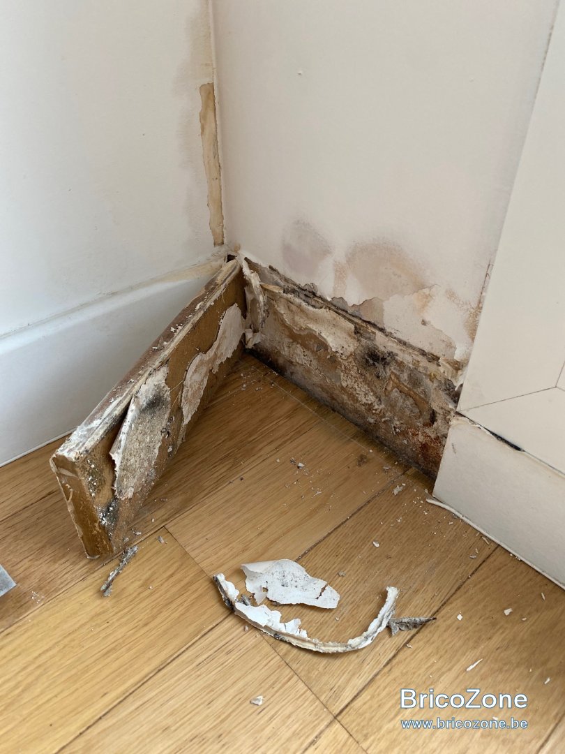 IMG_4934.jpg