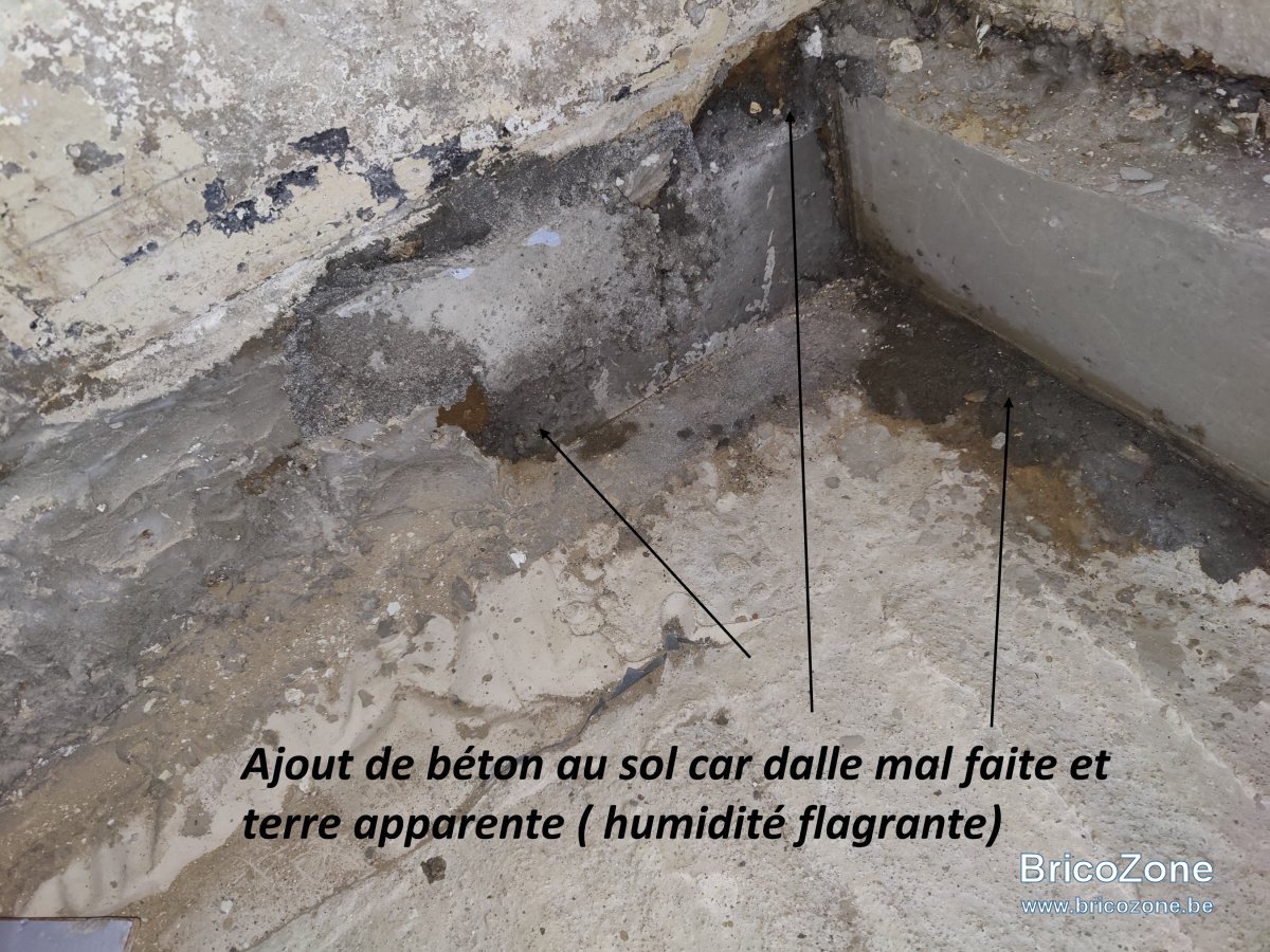 Image5.jpg